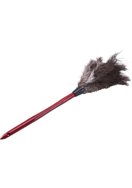 3x Ostrich Cleaning Feather Duster Ostrich Duster Ostrich Feather Duster Soft Feathers Duster (Yurt Dışından)
