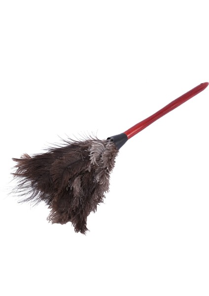 3x Ostrich Cleaning Feather Duster Ostrich Duster Ostrich Feather Duster Soft Feathers Duster (Yurt Dışından)