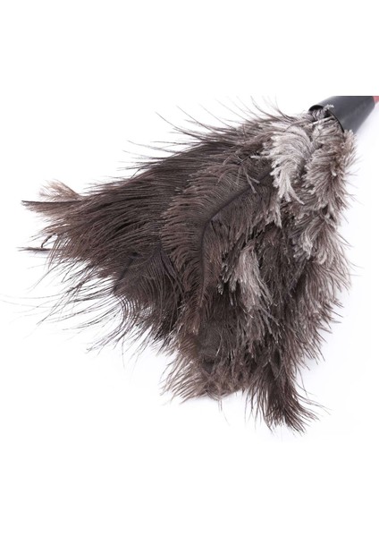 3x Ostrich Cleaning Feather Duster Ostrich Duster Ostrich Feather Duster Soft Feathers Duster (Yurt Dışından)