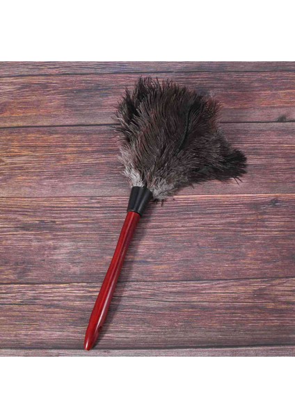 4x Ostrich Cleaning Feather Duster Ostrich Duster Ostrich Feather Duster Soft Feathers Duster Photo Color (Yurt Dışından)