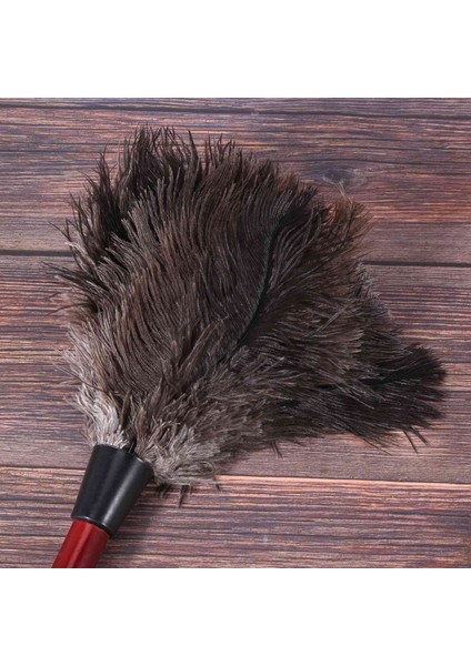 4x Ostrich Cleaning Feather Duster Ostrich Duster Ostrich Feather Duster Soft Feathers Duster Photo Color (Yurt Dışından)