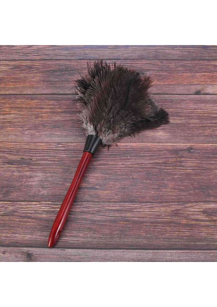 4x Ostrich Cleaning Feather Duster Ostrich Duster Ostrich Feather Duster Soft Feathers Duster Photo Color (Yurt Dışından)