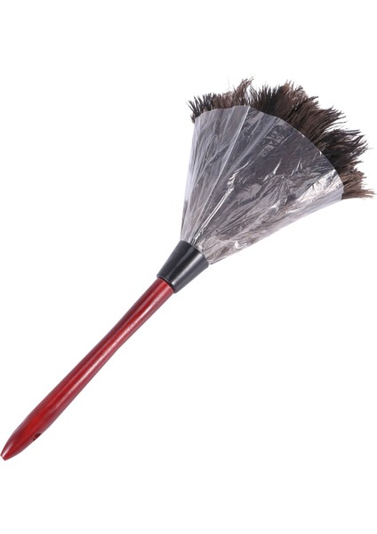 4x Ostrich Cleaning Feather Duster Ostrich Duster Ostrich Feather Duster Soft Feathers Duster Photo Color (Yurt Dışından)
