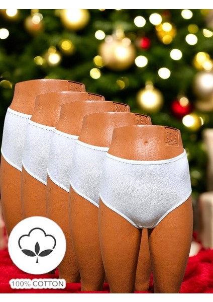 Désir Kadın 5 Adet Yüksek Bel Penye Bato Külot fırsatları