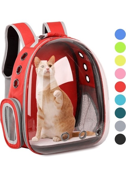 Kedi Taşıma Çantası (Yurt Dışından)