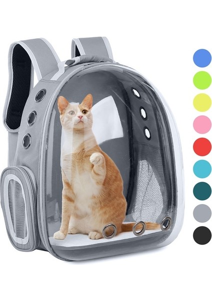 Kedi Taşıma Çantası (Yurt Dışından)