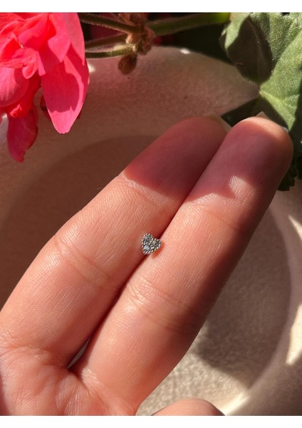Nature Cerrahi Çelik Zirkon Taşlı Arkası Düz Küçük Kalp Piercing,tragus, Helix, Kıkırdak.