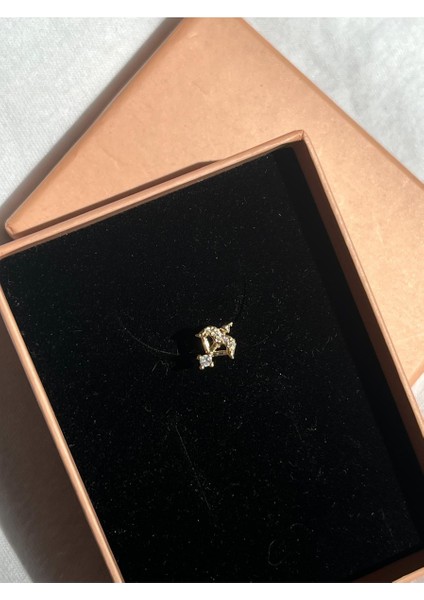 Nature Cerrahi Çelik Zirkon Taşlı Arkası Düz Eros Ok Piercing,tragus, Helix, Kıkırdak.
