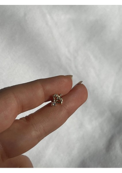 Nature Cerrahi Çelik Zirkon Taşlı Arkası Düz Eros Ok Piercing,tragus, Helix, Kıkırdak.