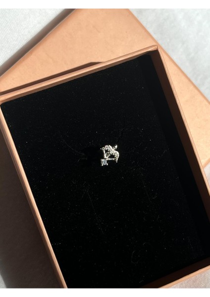 Nature Cerrahi Çelik Zirkon Taşlı Arkası Düz Eros Ok Piercing,tragus, Helix, Kıkırdak.