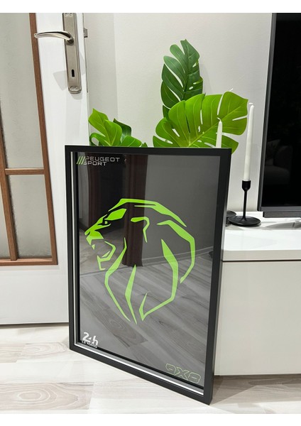 LEGO Peugeot Le Mans Çerçeve modelleri