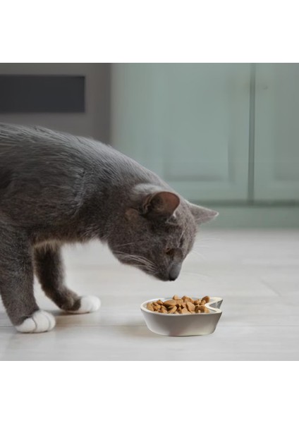 Minik Seramik Mama Veya Su Ödül Kabı Kedi Kafası Şeklinde Sevimli Dostlarımız Için