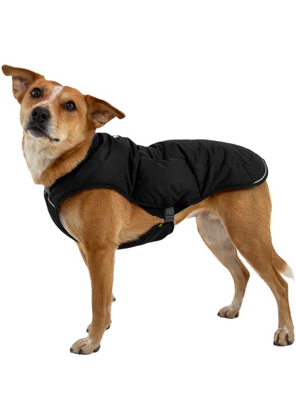 Quınzee Köpek Montu
