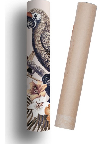 Duvar Kendinden Yapışkanlı Kaplama Folyo Tropik Papağan 50 cm x 300 cm modelleri