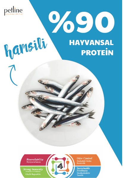 Anchovy Hamsili Balıklı Deniz Mahsullü Yetişkin Kedi Maması 10 kg