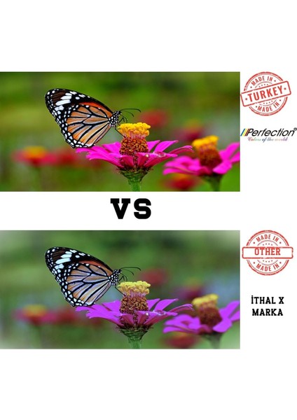 Canon Uyumlu GI-490 Pixma G2410/G2410/G3410/G4410 4 Renk Mürekkep Dolum Seti 8X100 Gr. modelleri