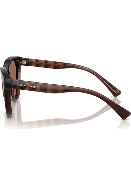 Ax 4148SU 835773 56 Armani Exchange Kadın Güneş Gözlüğü fiyatları