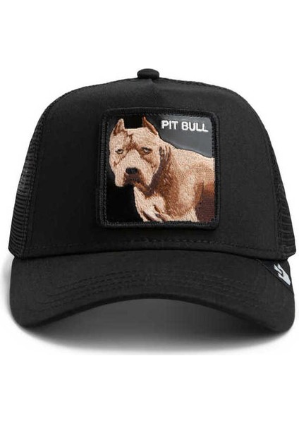 The Dog Pitbull Şapka Siyah