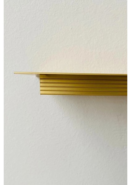 Aluminyum Havalandırma Menfezi 100X500MM , Altın fiyatları