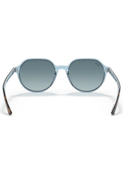 RB2195 13163M 53 modelleri