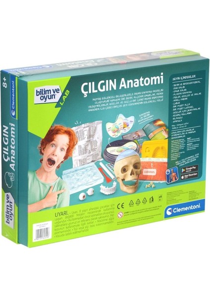 Bilim Çılgın Anatomi modelleri