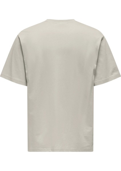Erkek Onscurated Bisiklet Yaka %100 Pamuk T-Shirt 22030925 Taş fiyatları