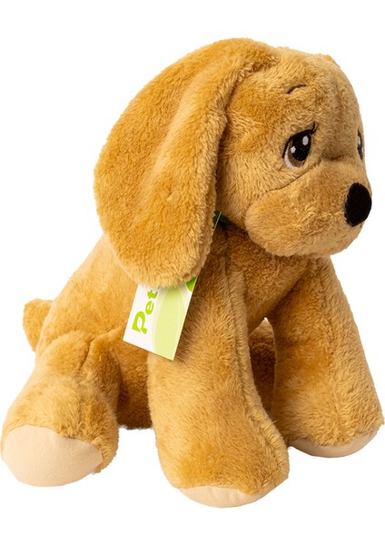 Sarı Golden Köpek 30 cm