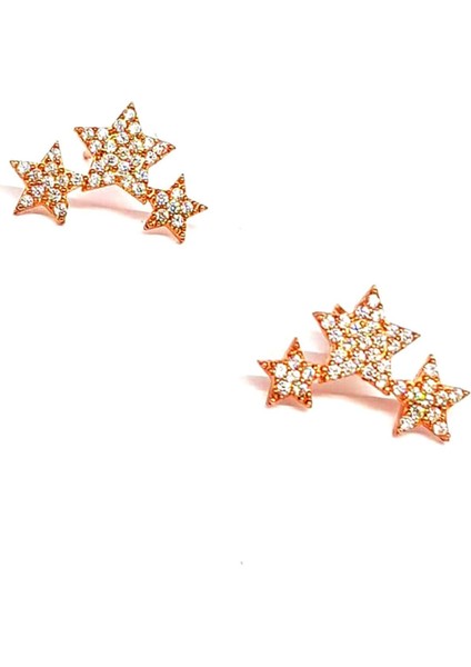 Zirkon taşlı gümüş üzerine rose altın kaplamalı yıldız küpe fiyatları