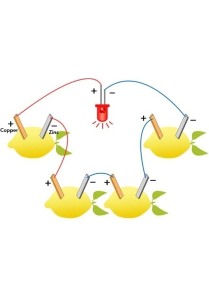 Güneş Dünya ve Ay Modeli + Limon Deney Seti Güneş Dünya Ay Model fiyatları