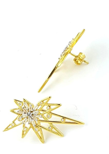 Baget Zirkon Taşlı 925AYAR Gümüş Üzerine Altın Kaplama Luxury Tasarım Kutup Yıldızı Küpe fiyatları