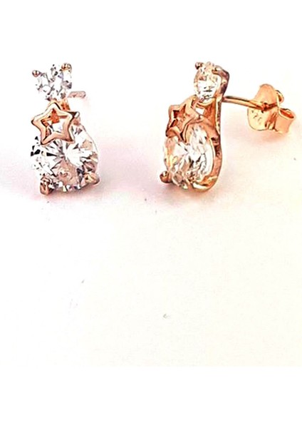 gümüş bayan küpe fiyatları