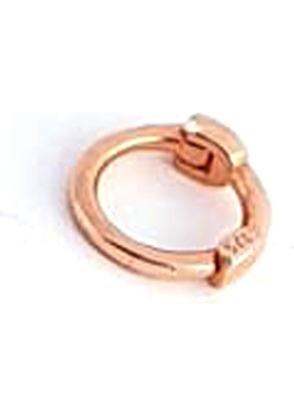 925ayar Gümüş Rose Tragus Halka Piercing fiyatları