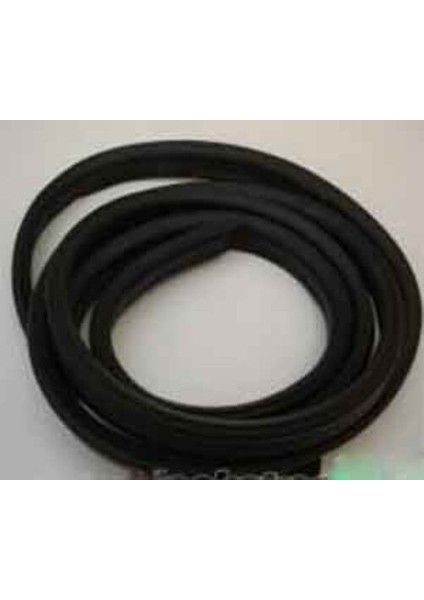 FT176-142A 4501-3400A Kapı Fitili Arka Fluence 769240022R