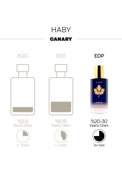 Haby Canary - Erkek Parfüm - 50 ml