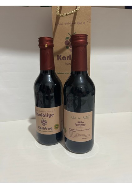 Yöresel Mutfağınız Kırklareli Karlıbağ Hardaliye 330ML 2li Avantajlı Paket