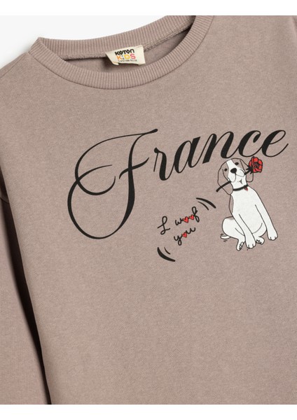 Köpek Baskılı Bisiklet Yaka Uzun Kollu Pamuklu Sweatshirt modelleri