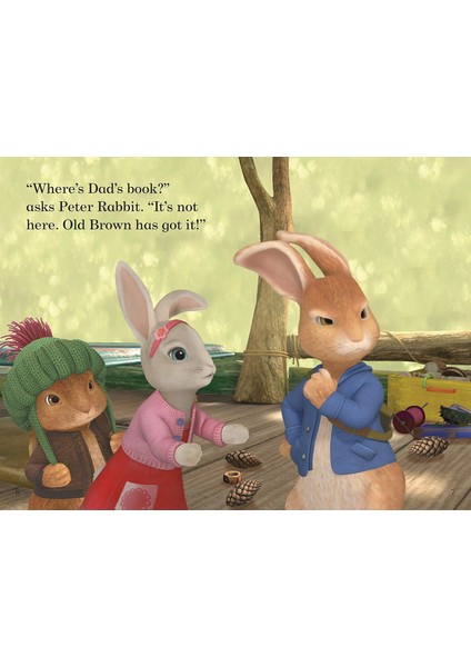 Peter Rabbit / Goes To The Island – Readers Level 1 - Beatrix Potter modelleri