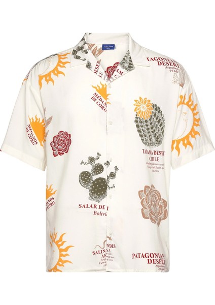 Erkek Gömlek 12262199 1226219921