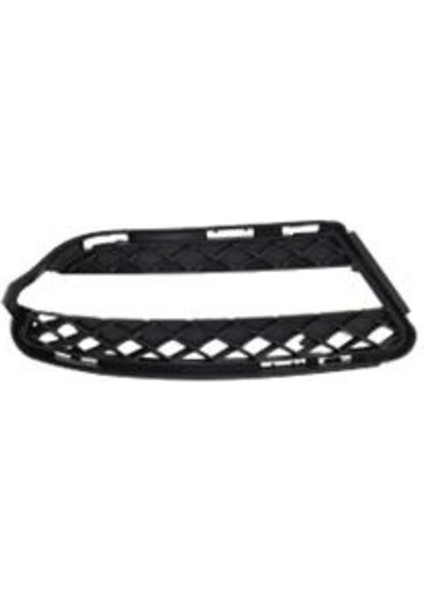 76752 Tampon Izgarası Ön Sağ Acık S-Class W221 10-12 2218851822