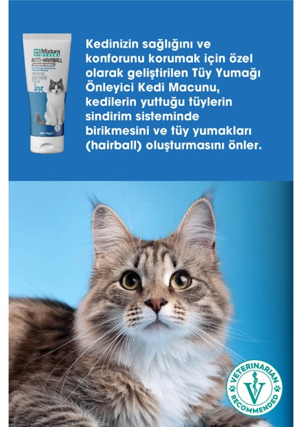 Anti-Hairball Kedi Tüy Yumağı Önleyici Malt Macun (Tüy Yumağı Oluşumunu Önleyici)