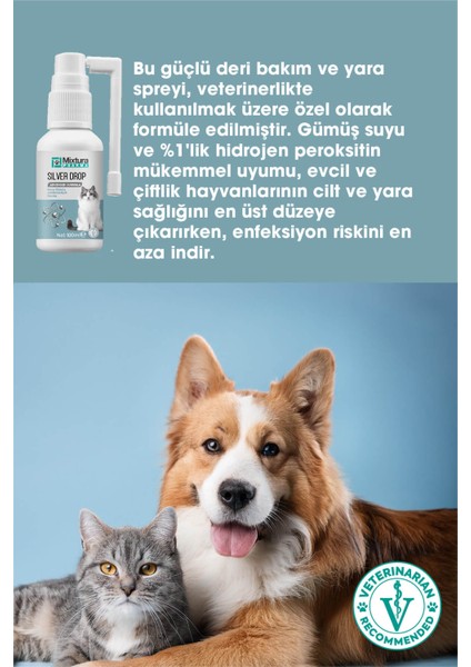 Silver Drop Nano-Gümüş Dezenfektan Damla Sprey – Kedi ve Köpek Temizleme Spreyi fırsatları