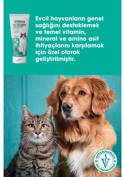 Multivitamine Multivitaminli Malt Macunu - Kedi Vitamini - Köpek Vitamini