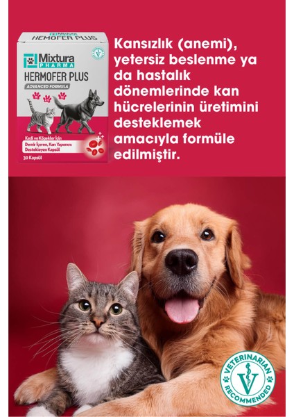 Hemofer Forte Kedi ve Köpek Kan ve Demir Vitamini Kansızlığı Önleyici fiyatları