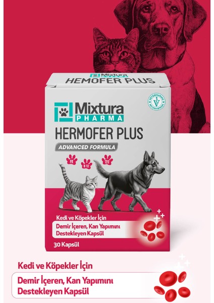 Hemofer Forte Kedi ve Köpek Kan ve Demir Vitamini Kansızlığı Önleyici fırsatları