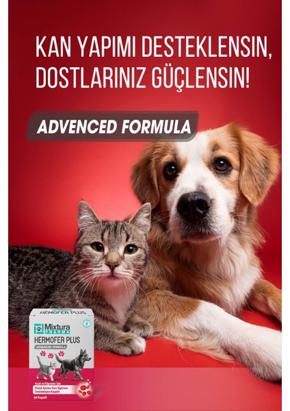 Hemofer Forte Kedi ve Köpek Kan ve Demir Vitamini Kansızlığı Önleyici indirimleri