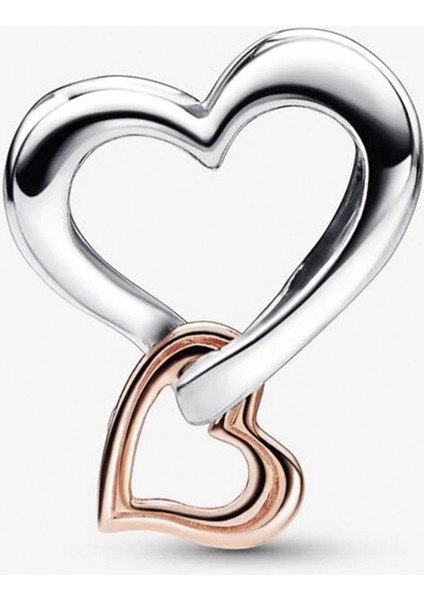 İki Renkli Kafes İşi Sonsuz Kalp Charm - NUR-CM00366