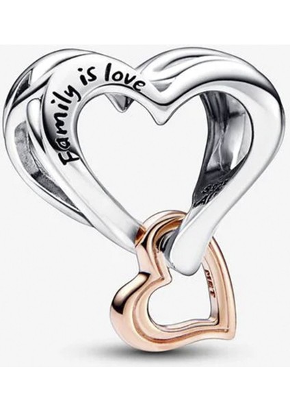 İki Renkli Kafes İşi Sonsuz Kalp Charm - NUR-CM00366 fiyatları