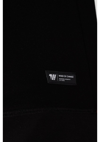 Esw 2905 Bisiklet Yaka Erkek Düz Ince Sweat Siyah modelleri