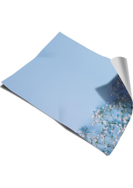 Buzdolabı ve Bulaşık Makinesi Kapak Kendinden Yapışkanlı Sticker Folyo Kaplama Çiçek Desen