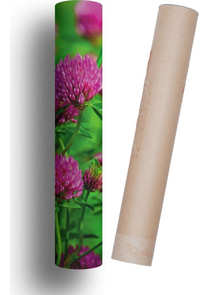 Buzdolabı ve Bulaşık Makinesi Kapak Sticker Kendinden Yapışkanlı Folyo Çiçek Desen modelleri